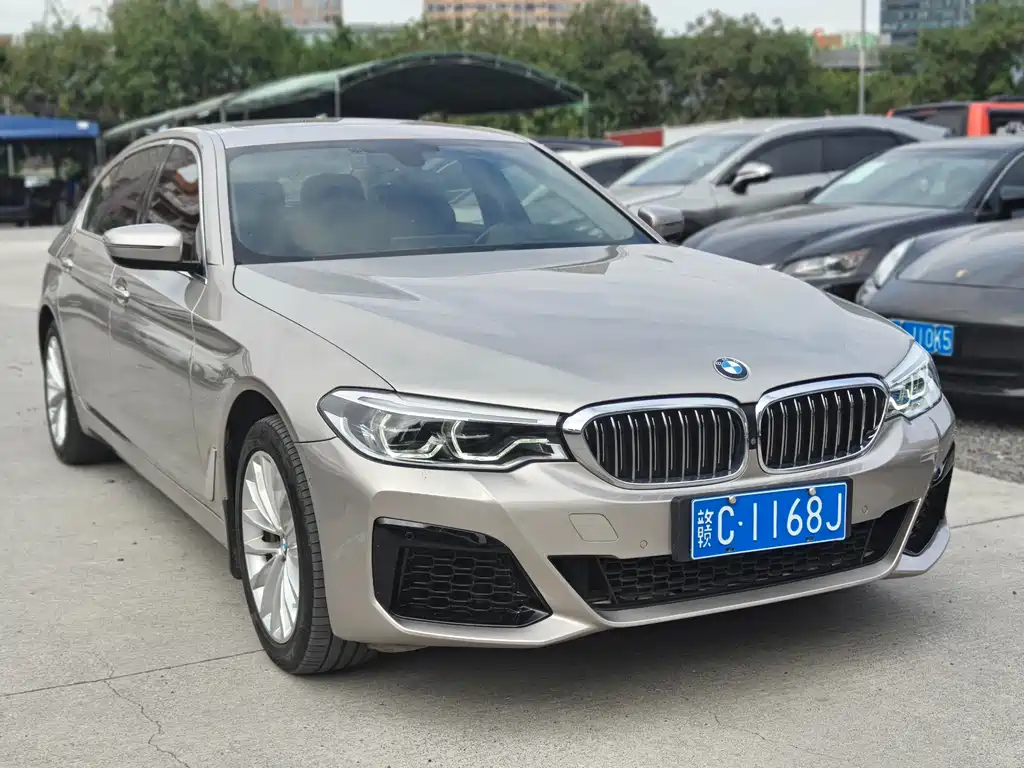 BMW BMW 5 Series 2020 530Li M Sport Luxury Package 2020 - thumbnail 2