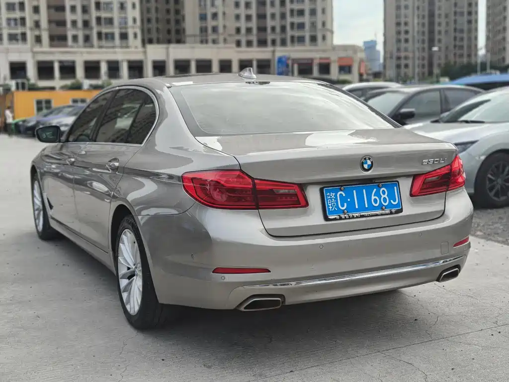 BMW BMW 5 Series 2020 530Li M Sport Luxury Package 2020 - thumbnail 7