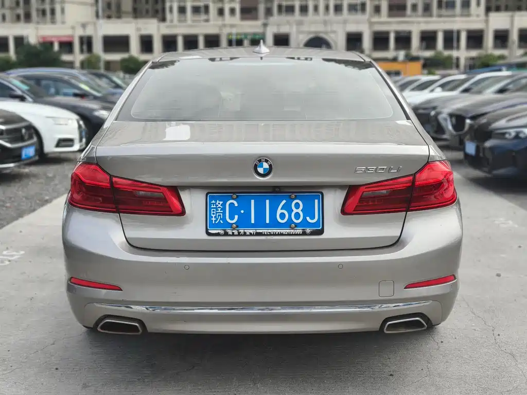 BMW BMW 5 Series 2020 530Li M Sport Luxury Package 2020 - thumbnail 9