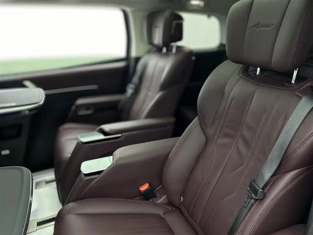 Century Buick Century 2023 2.0T 7-seater Yunshi Edition 2024 - thumbnail 10