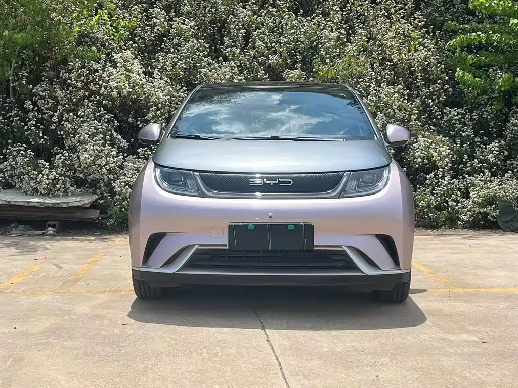 BYD Dolphin 2021 405km Fashion Edition 2022 - thumbnail 2