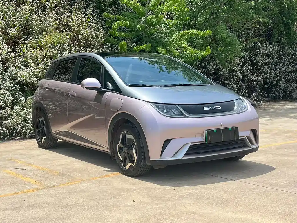 BYD Dolphin 2021 405km Fashion Edition 2022 - thumbnail 3