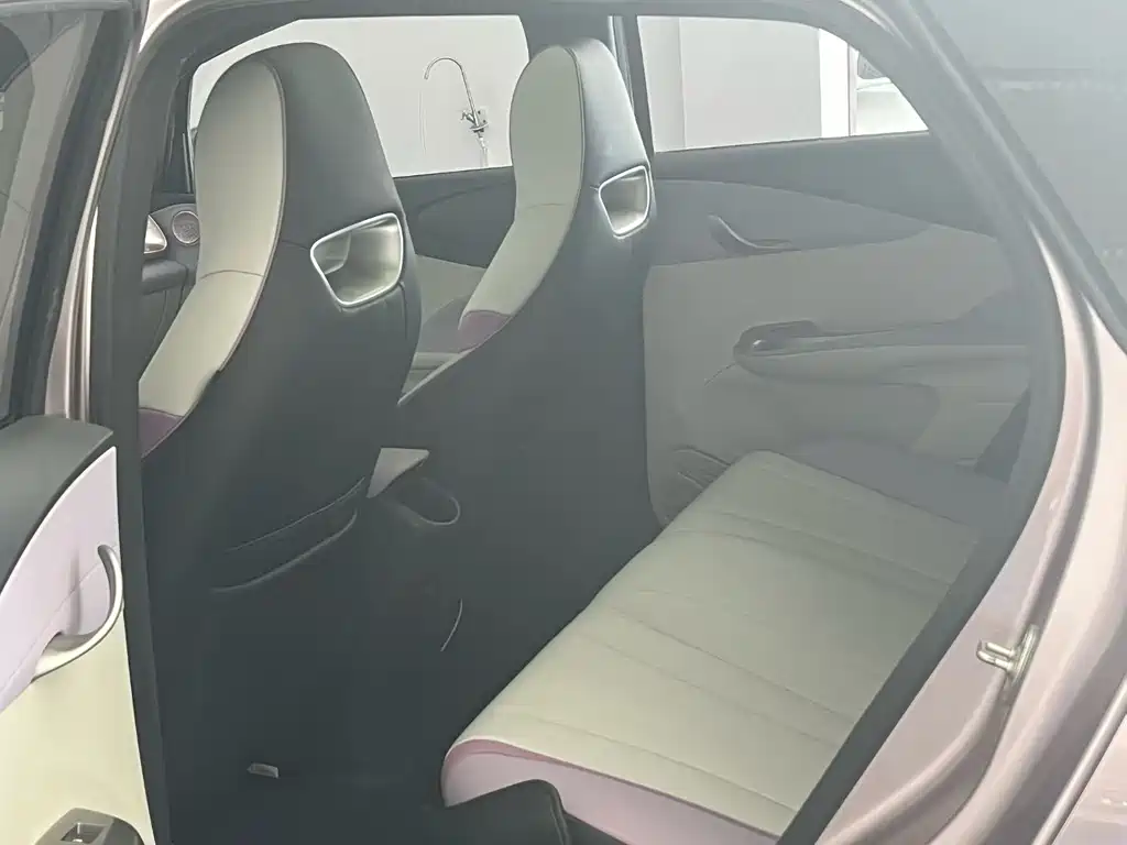 BYD Dolphin 2021 405km Fashion Edition 2022 - thumbnail 4