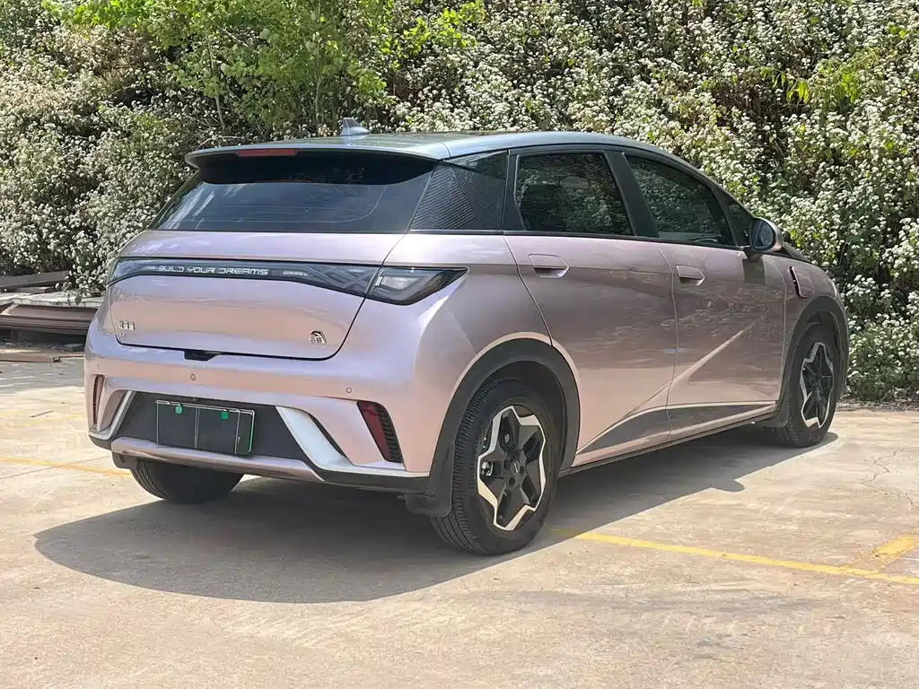 BYD Dolphin 2021 405km Fashion Edition 2022 - thumbnail 7
