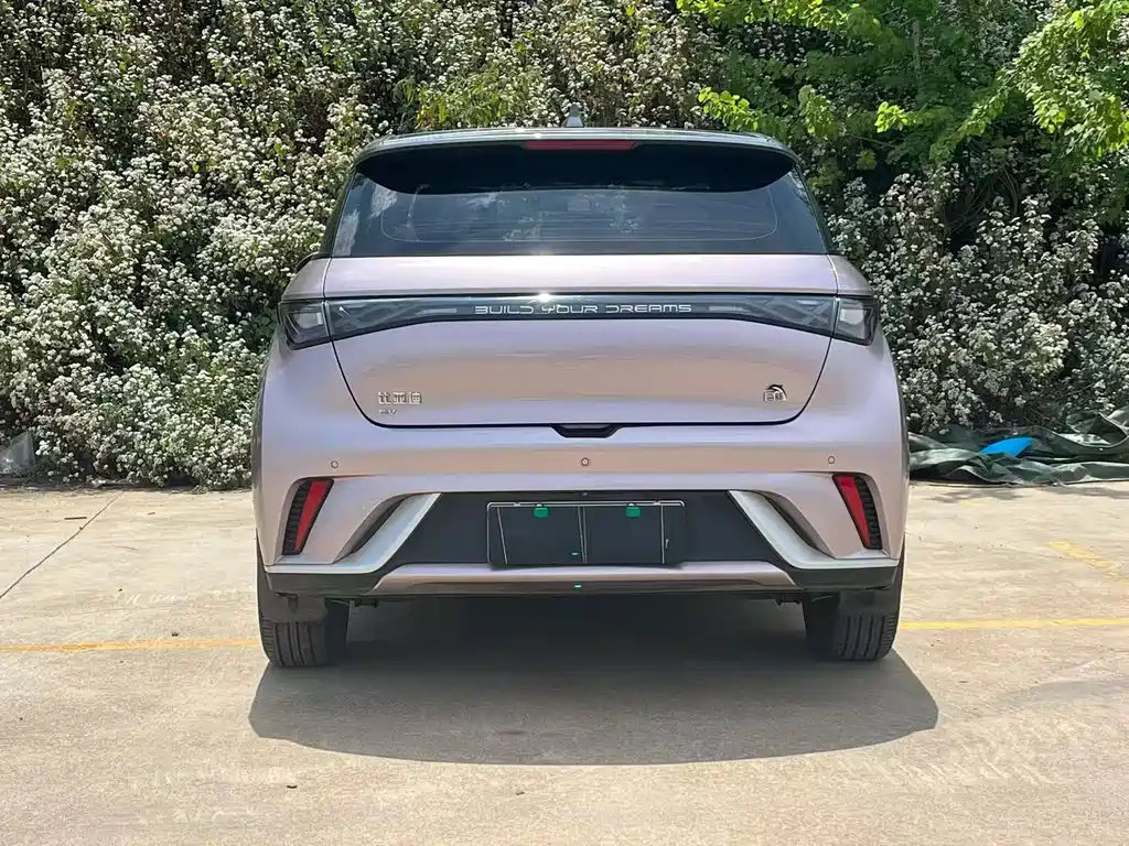 BYD Dolphin 2021 405km Fashion Edition 2022 - thumbnail 8