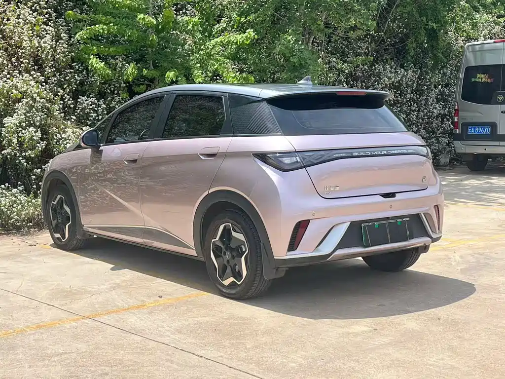 BYD Dolphin 2021 405km Fashion Edition 2022 - thumbnail 9
