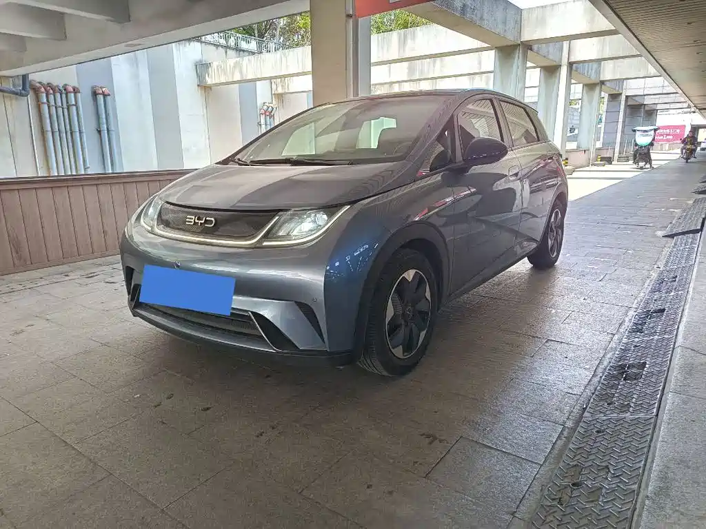 BYD BYD Dolphin 2024 Glory Edition 420km Fashion Edition 2024