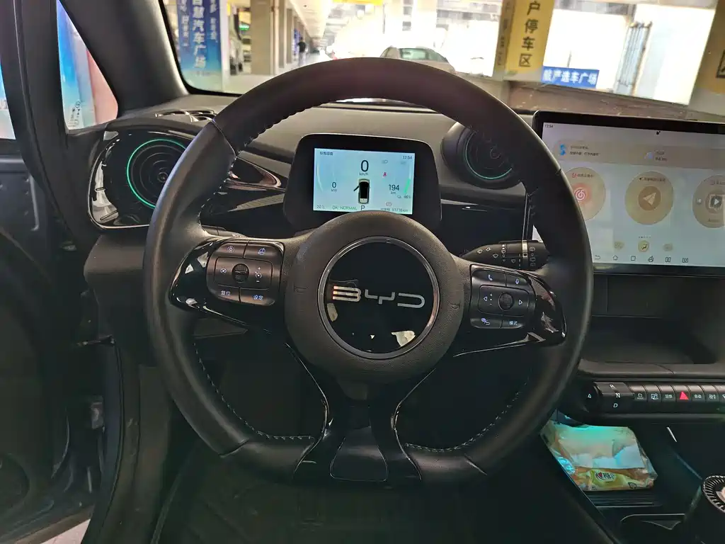 BYD BYD Dolphin 2024 Glory Edition 420km Fashion Edition 2024 - thumbnail 14