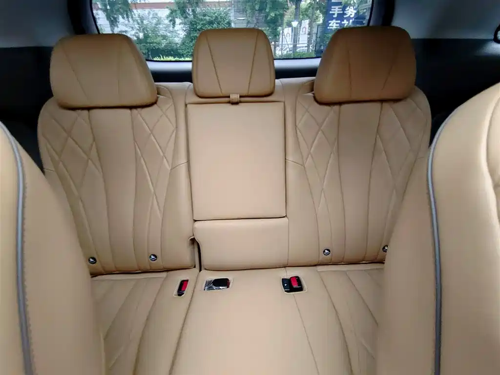 Denza Denza D9 DM-i 970 AWD Flagship 2023 - thumbnail 9
