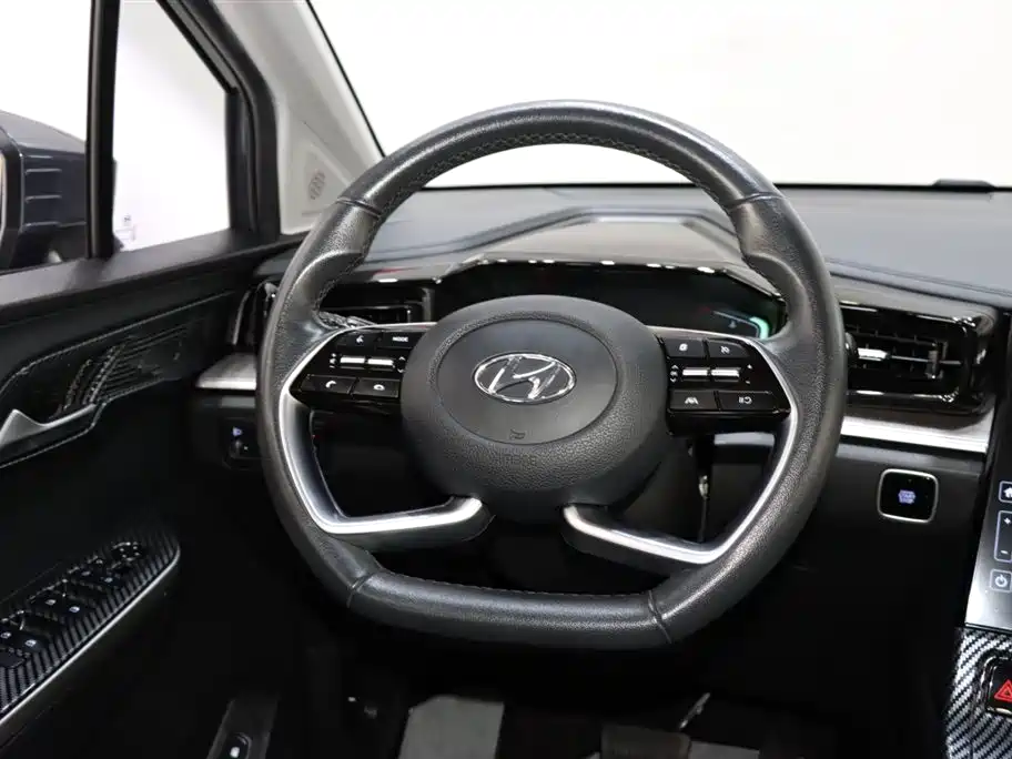 Hyundai Hyundai Custo 2021 270TGDi Prestige Edition LUX 2024 - thumbnail 13