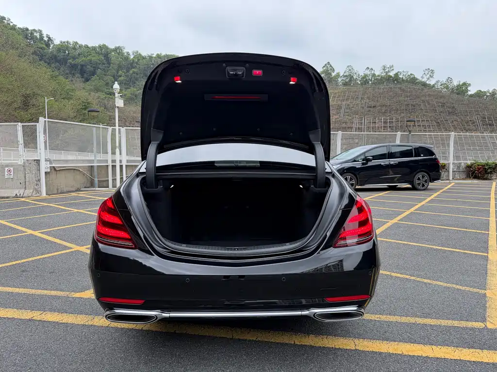 Mercedes-Benz Mercedes-Benz S-Class 2020 S 350 L Business Edition Zhenzang Edition 2021 - thumbnail 22