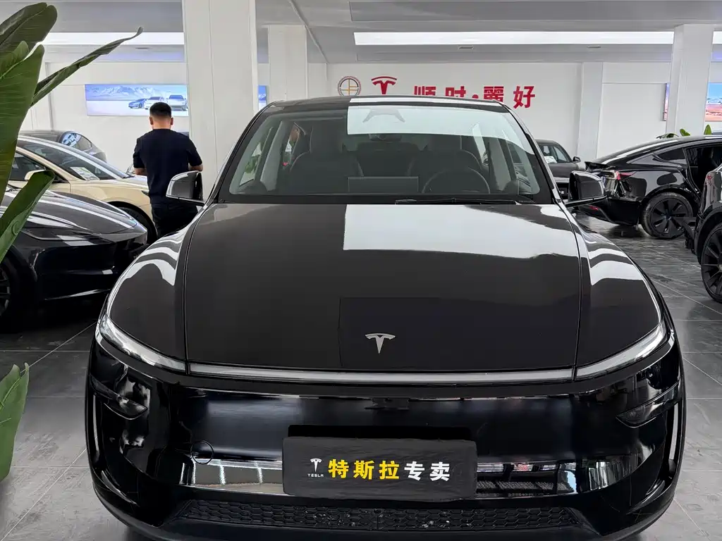 Tesla Model Y 2025 Rear-Wheel Drive 2025 - thumbnail 2