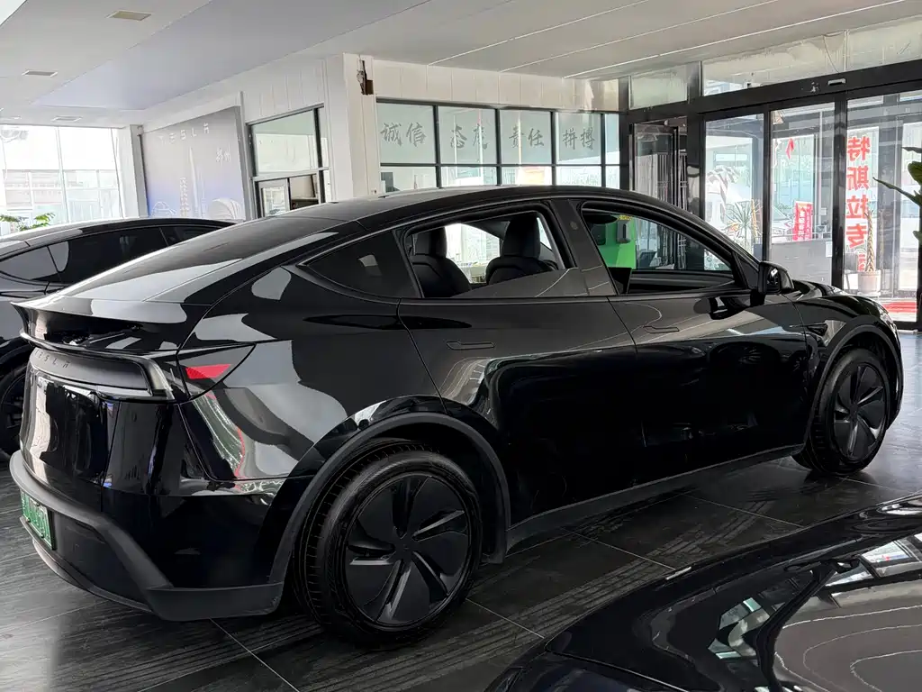 Tesla Model Y 2025 Rear-Wheel Drive 2025 - thumbnail 6