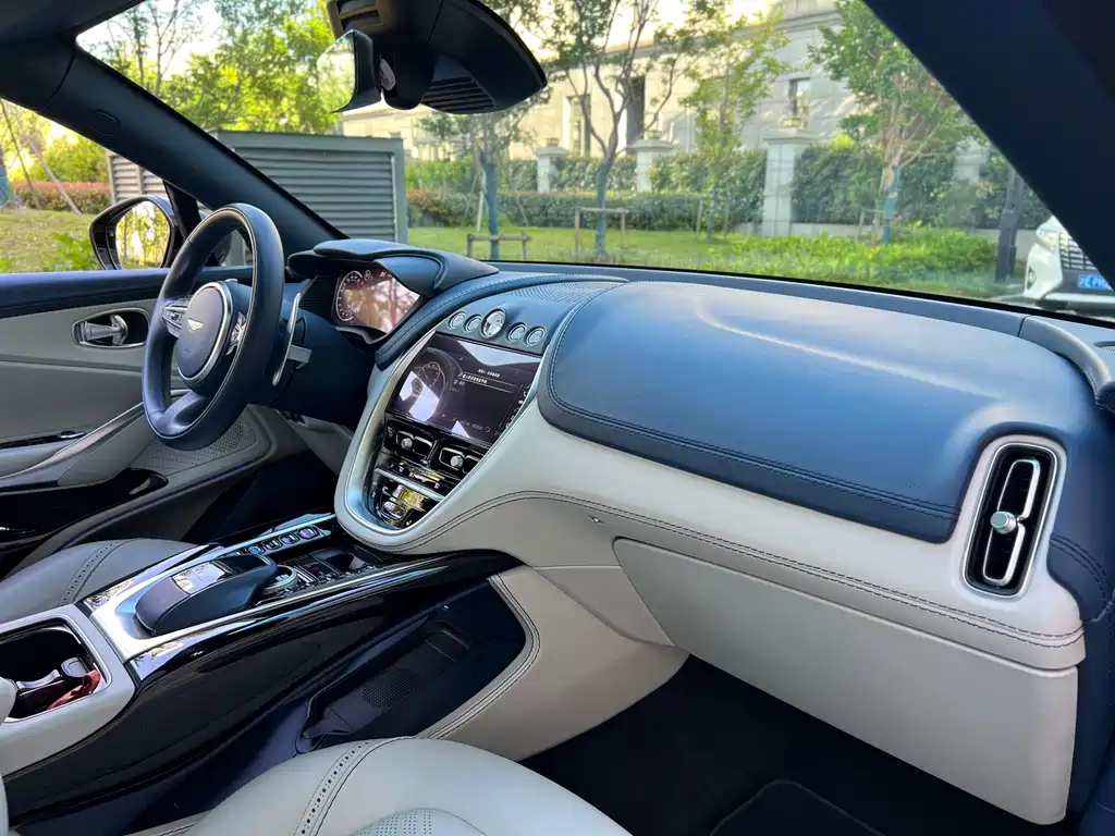 Aston Martin Aston Martin DBX 2023 4.0T V8 2024 - thumbnail 11