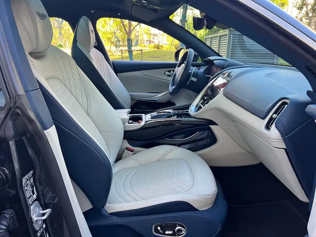 Aston Martin Aston Martin DBX 2023 4.0T V8 2024 - thumbnail 12