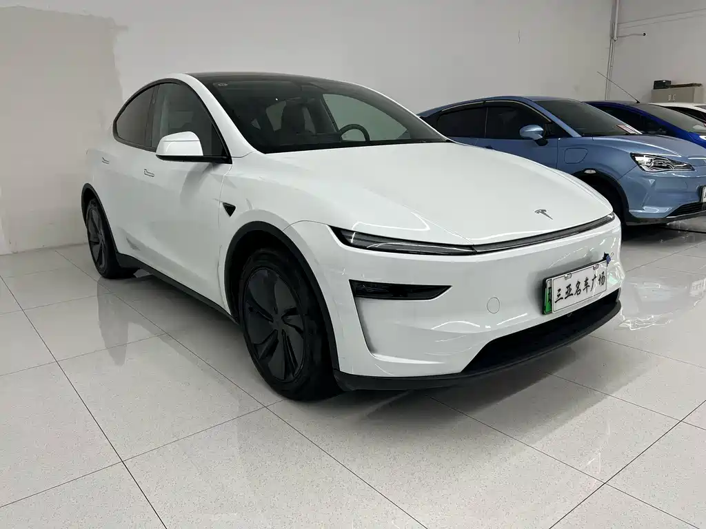 Tesla Model Y RWD 2025 - thumbnail 3