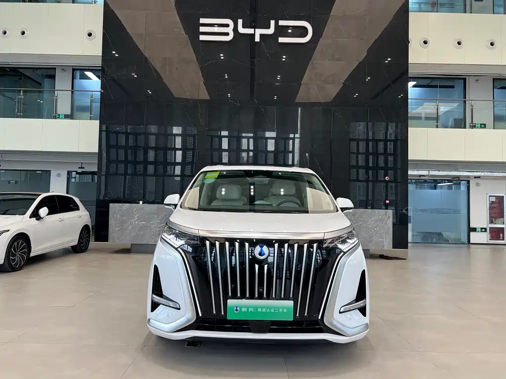 Denza Denza D9 2024 EV 600 AWD Flagship 2026 - thumbnail 2