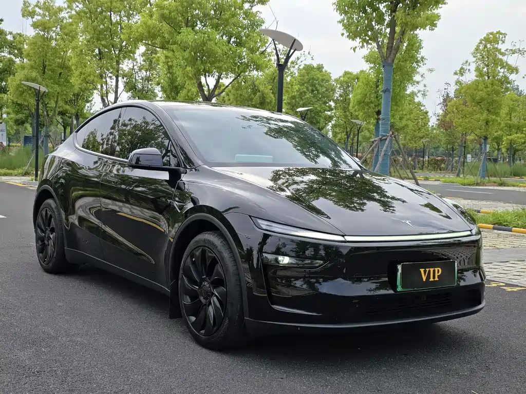 Tesla Model Y 2025 RWD 2025 - thumbnail 3