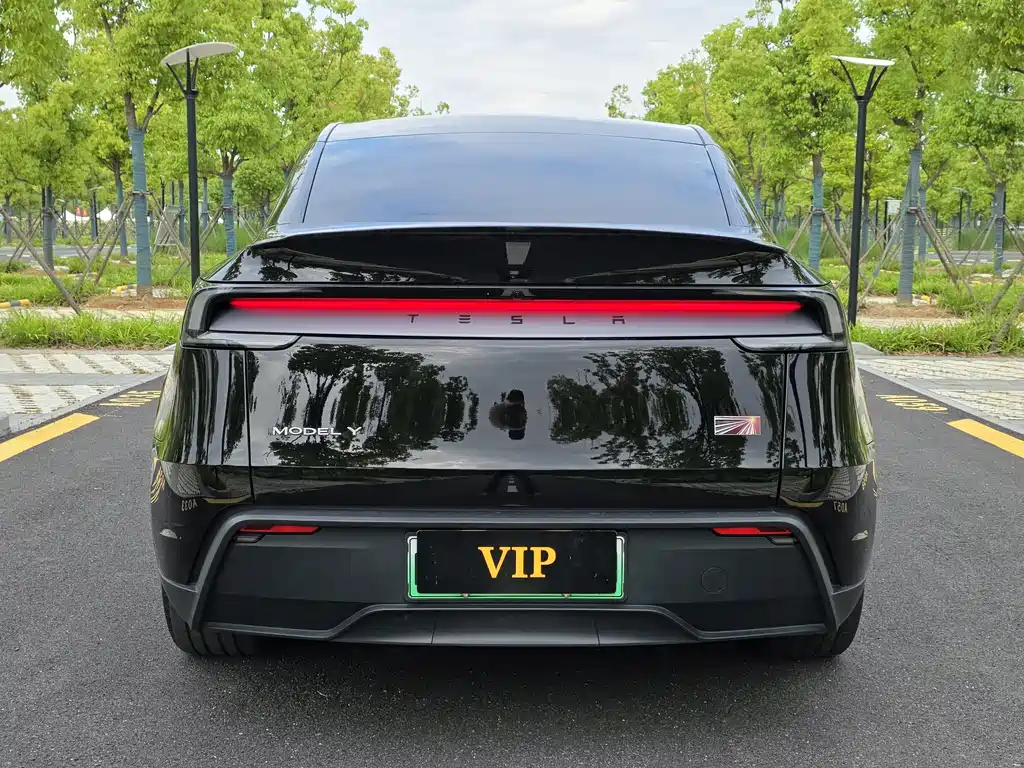 Tesla Model Y 2025 RWD 2025 - thumbnail 5