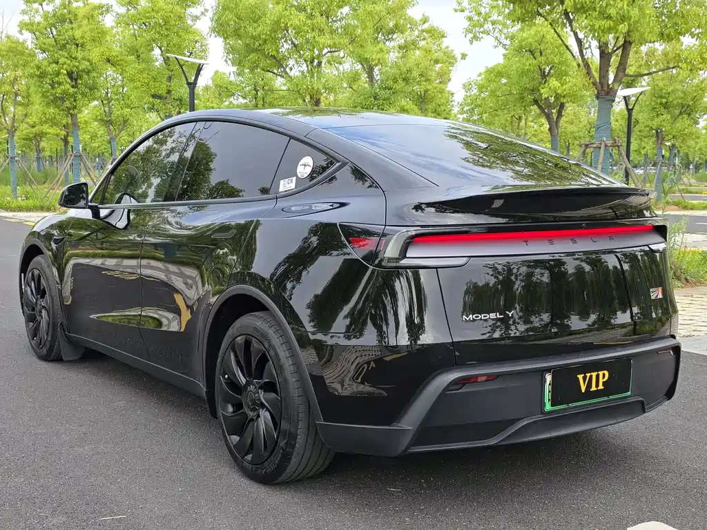 Tesla Model Y 2025 RWD 2025 - thumbnail 6