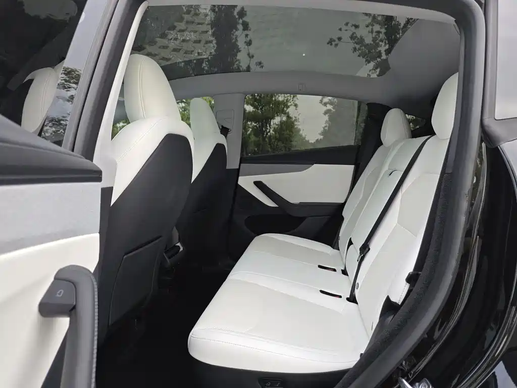 Tesla Model Y 2025 RWD 2025 - thumbnail 10