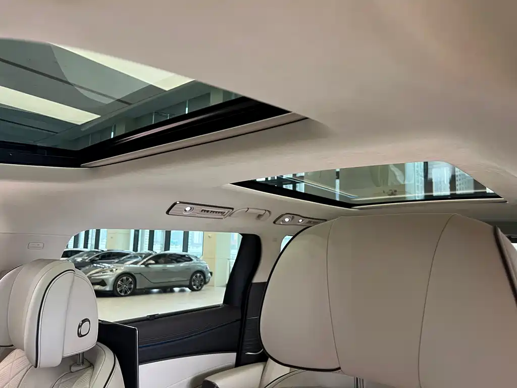Denza Denza D9 2024 EV 600 AWD Flagship 2026 - thumbnail 11