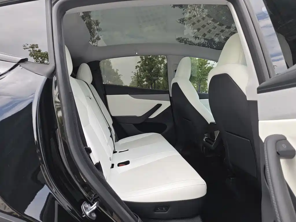 Tesla Model Y 2025 RWD 2025 - thumbnail 11