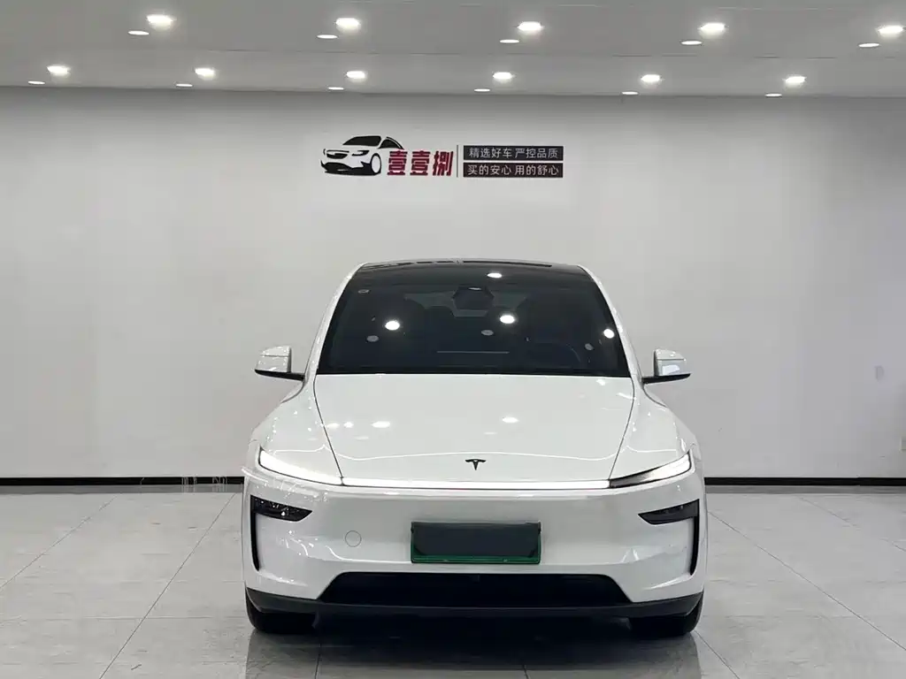 Tesla Model Y Long Range AWD 2025 - thumbnail 2