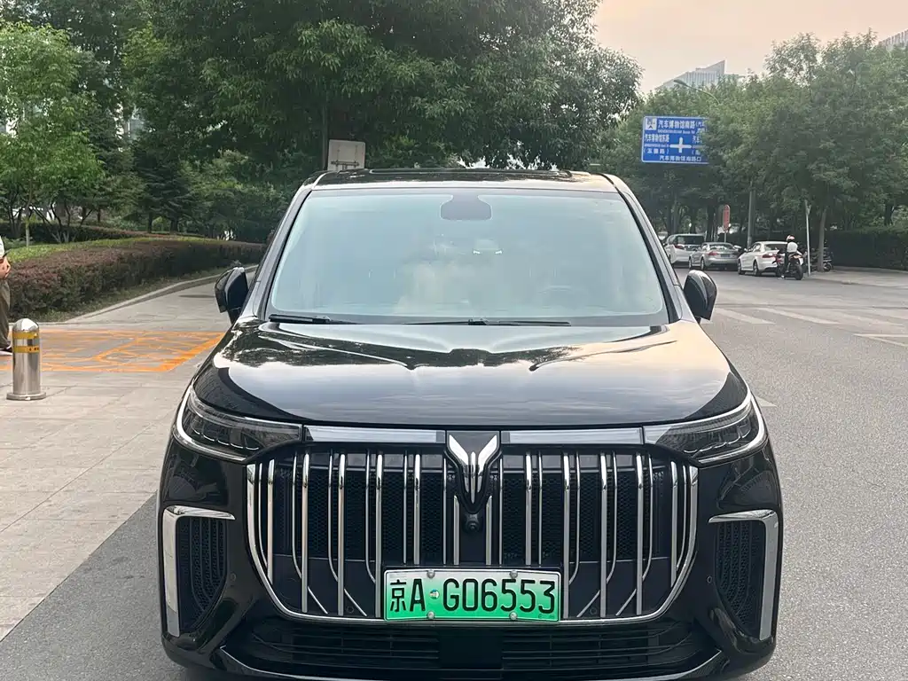 Voyah Voyah Dreamer 2024 PHEV Long Range Excellence Edition 2025 - thumbnail 2