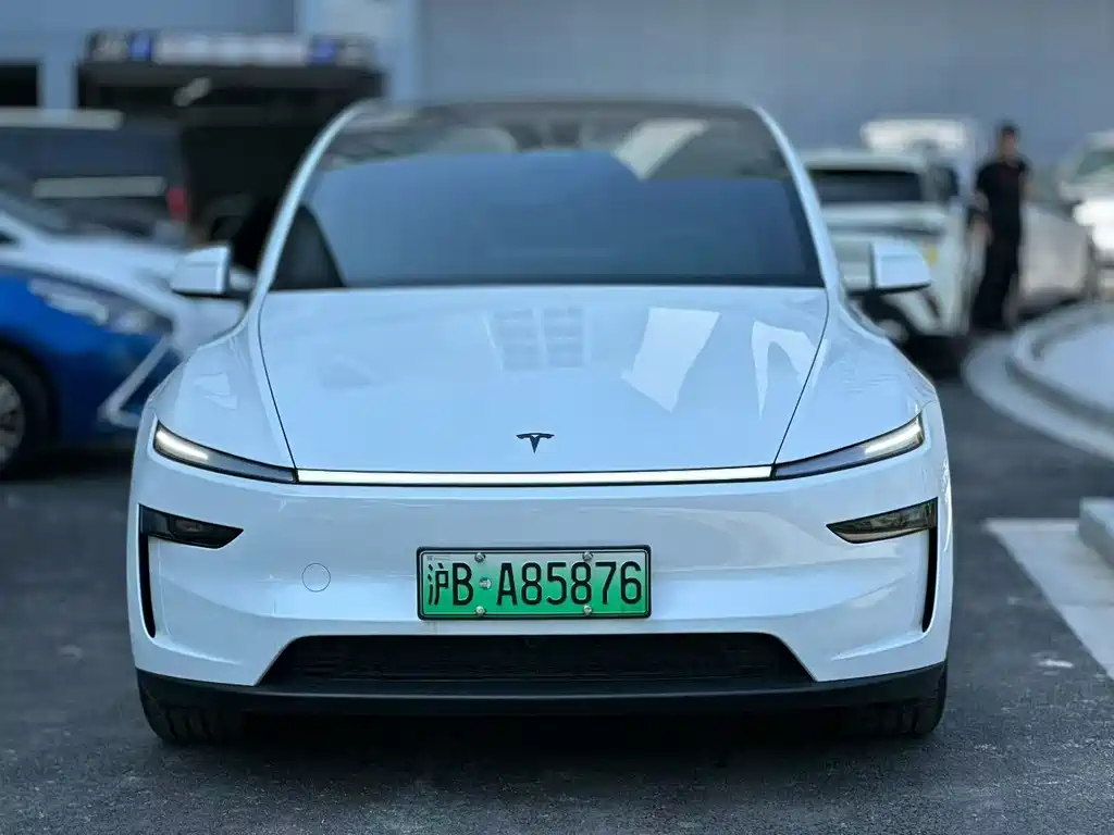 Tesla Model Y L Long Range AWD 2025 - thumbnail 2