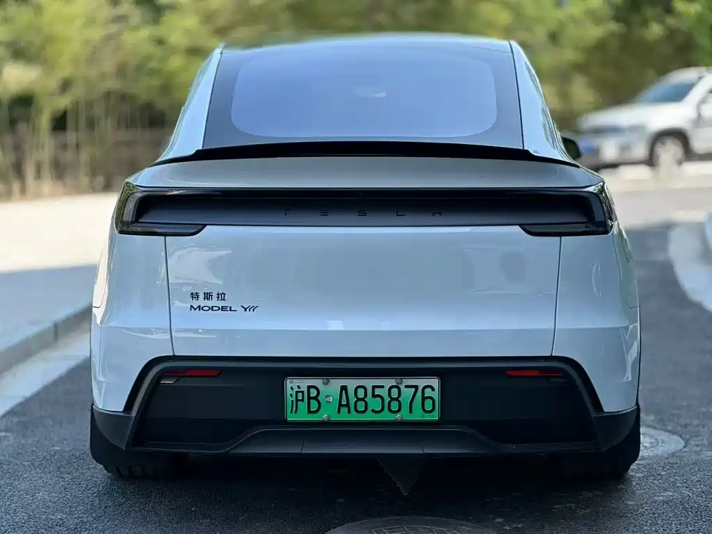Tesla Model Y L Long Range AWD 2025 - thumbnail 8