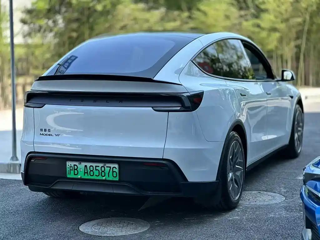 Tesla Model Y L Long Range AWD 2025 - thumbnail 9