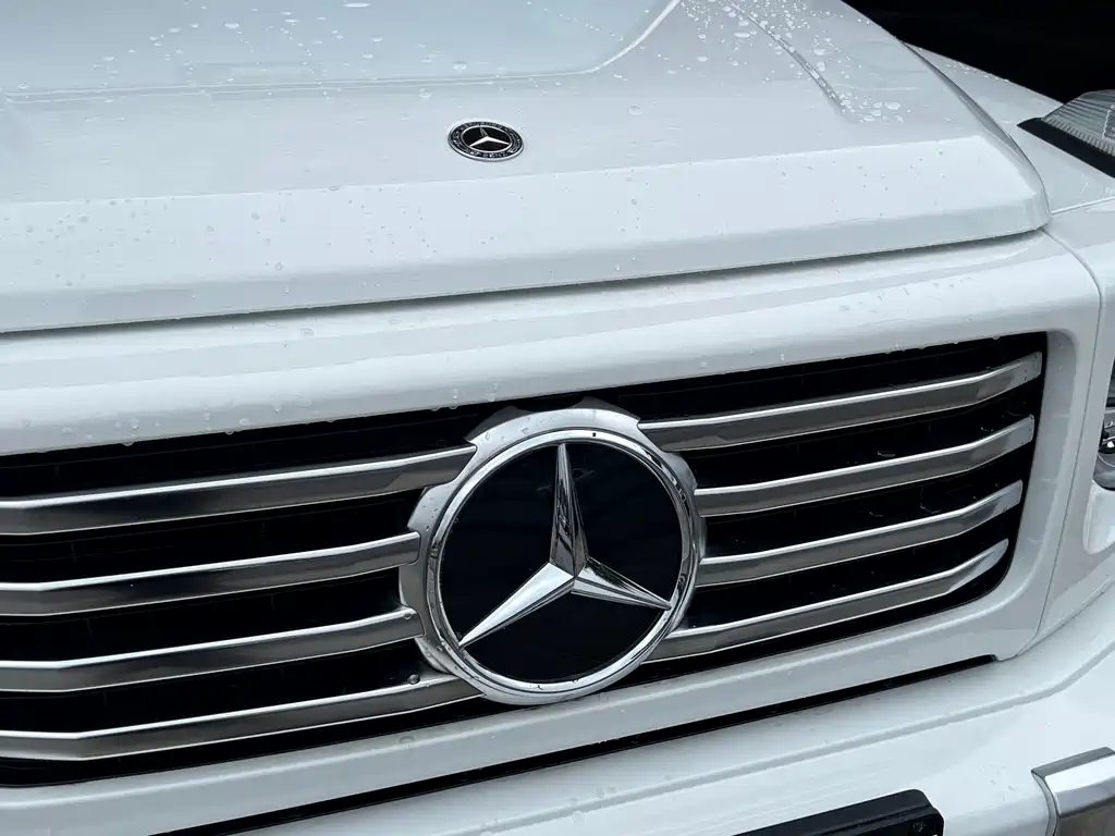 Mercedes-Benz Mercedes-Benz G-Class 2025 G 450 d 2026 - thumbnail 16