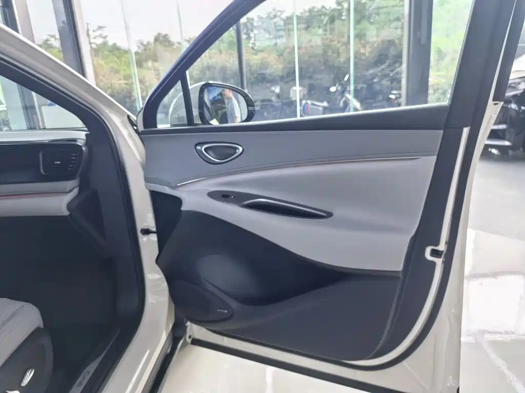 BYD Sealion 06 EV 2025 - thumbnail 21