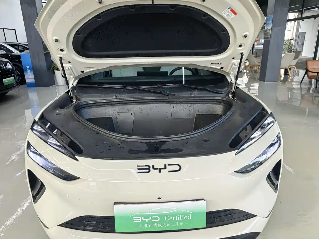 BYD Sealion 06 EV 2025 - thumbnail 23