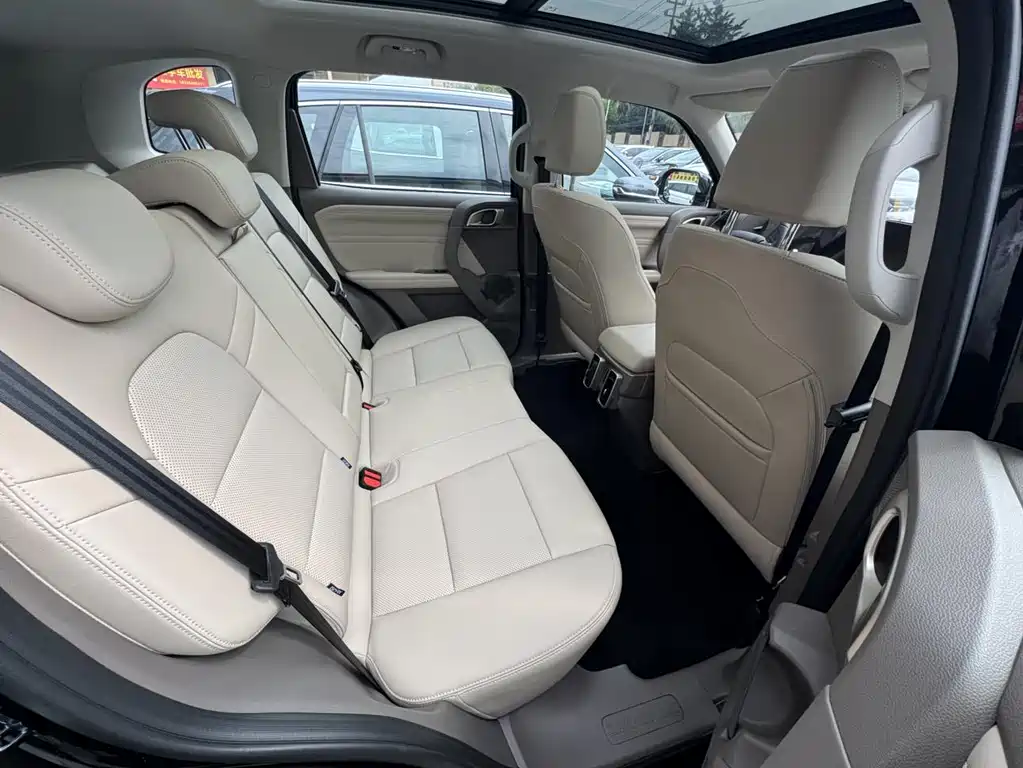 Haval Haval Big Dog 2026 1.5T DCT Border Collie Edition 2026 - thumbnail 7