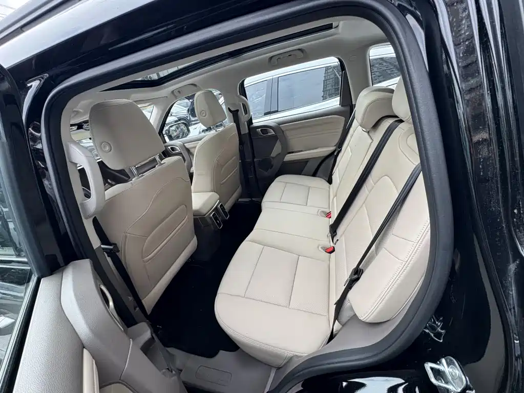 Haval Haval Big Dog 2026 1.5T DCT Border Collie Edition 2026 - thumbnail 9