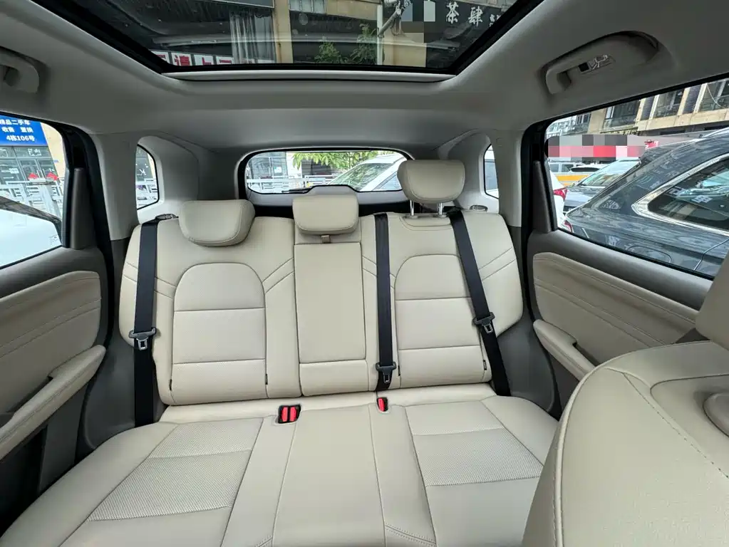 Haval Haval Big Dog 2026 1.5T DCT Border Collie Edition 2026 - thumbnail 13