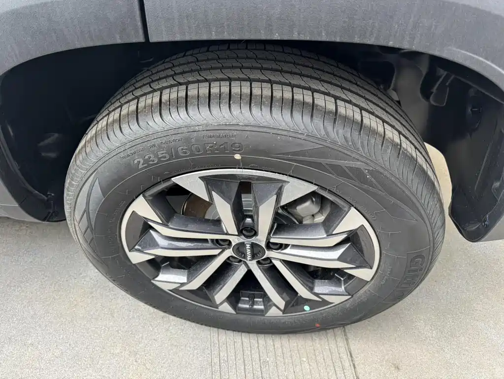 Haval Haval Big Dog 2026 1.5T DCT Border Collie Edition 2026 - thumbnail 15