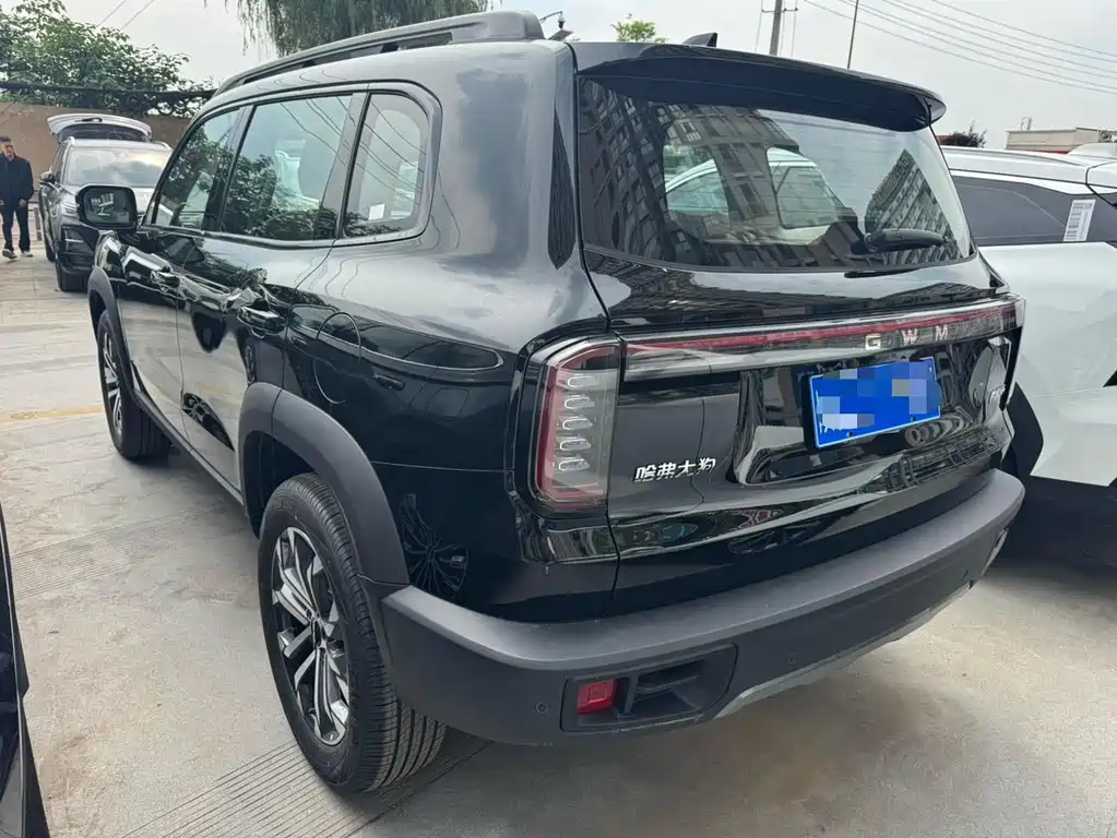 Haval Haval Big Dog 2026 1.5T DCT Border Collie Edition 2026 - thumbnail 17