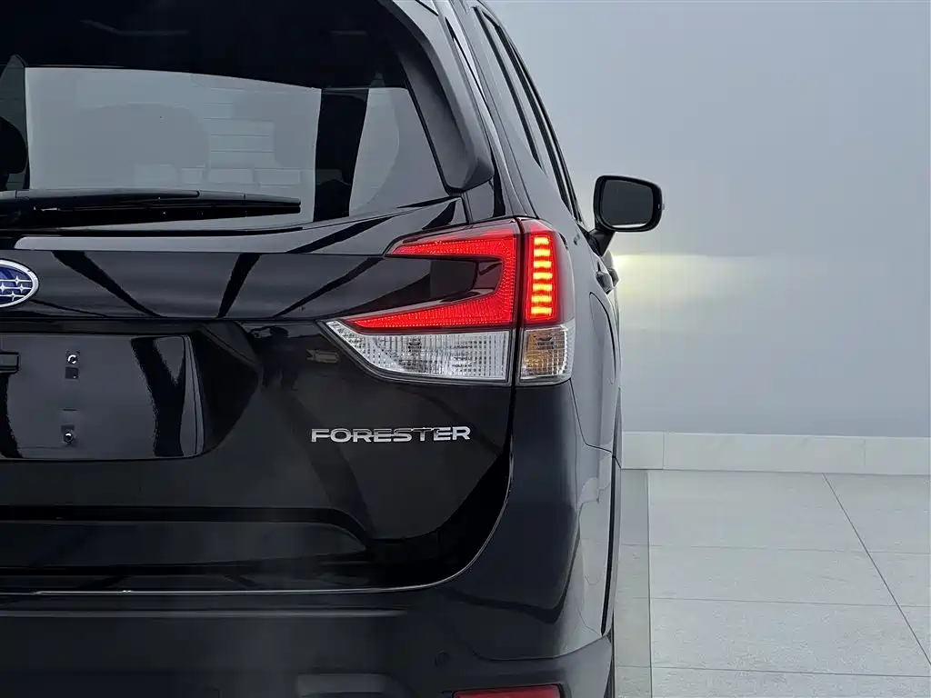 Subaru 2022 Subaru Forester 2.0i AWD Luxury Edition with EyeSight 2022 - thumbnail 10