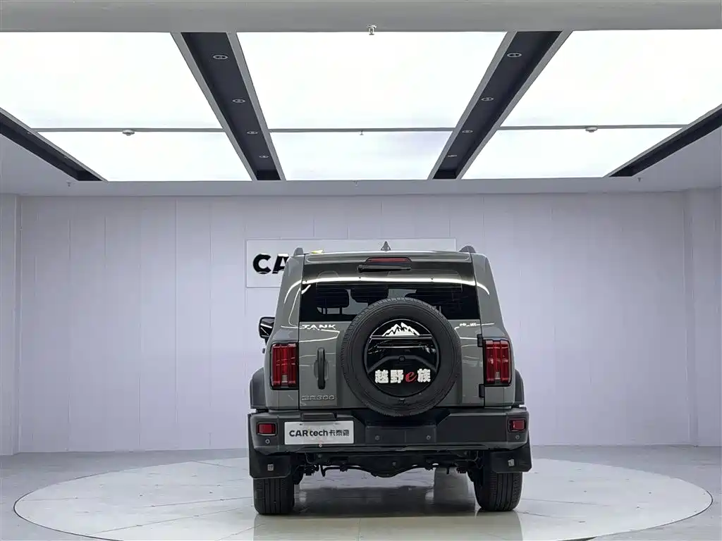Tank Tank 300 2021 Off-Road Edition 2.0T Conqueror 2022 - thumbnail 6
