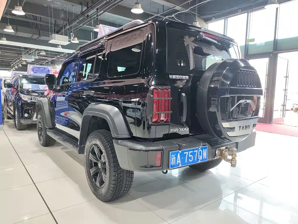 Tank Tank 300 2023 Off-Road Edition 2.0T Conqueror 2023 - thumbnail 7