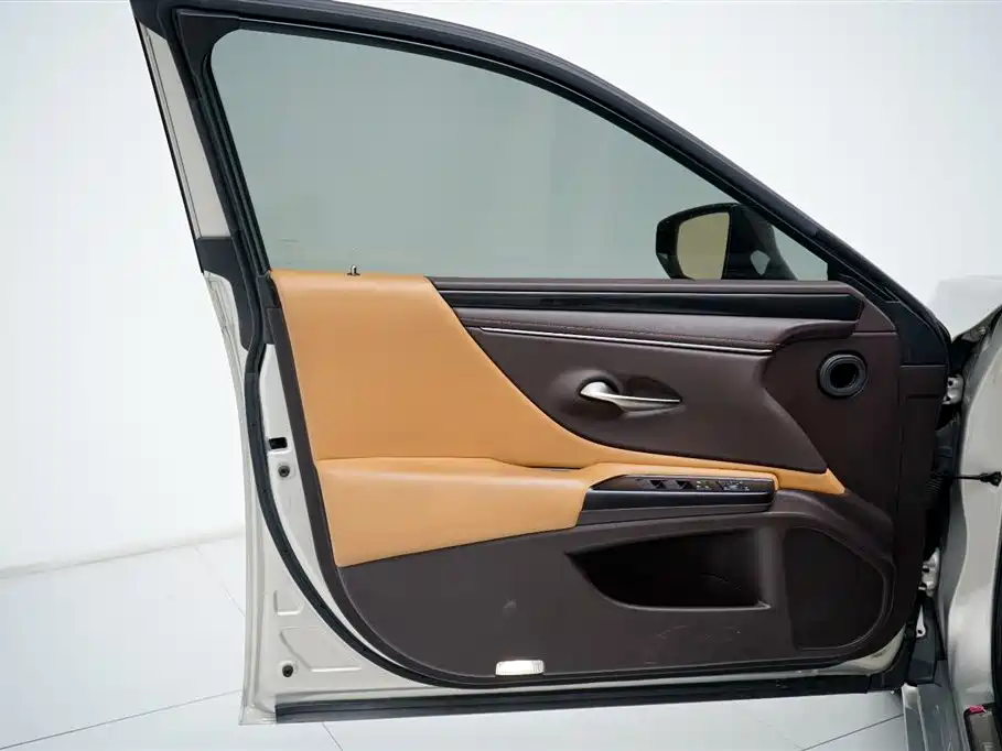Lexus 雷克萨斯ES 2018款 200 卓越版 国V 2018 - thumbnail 10