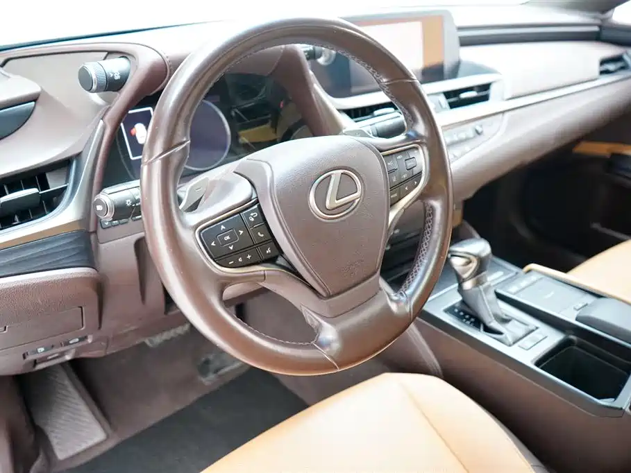 Lexus 雷克萨斯ES 2018款 200 卓越版 国V 2018 - thumbnail 13