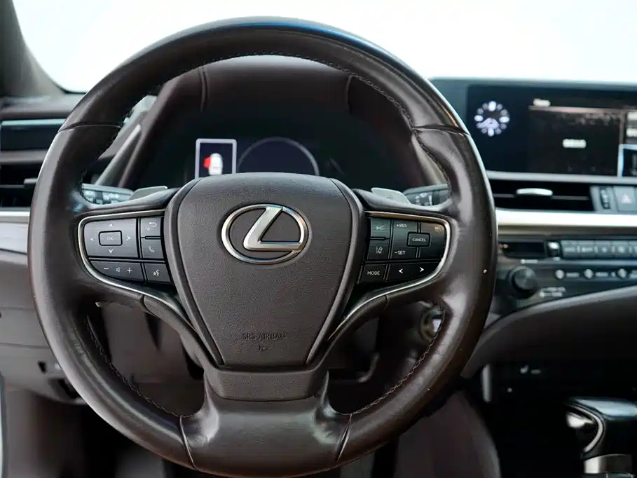 Lexus 雷克萨斯ES 2018款 200 卓越版 国V 2018 - thumbnail 14