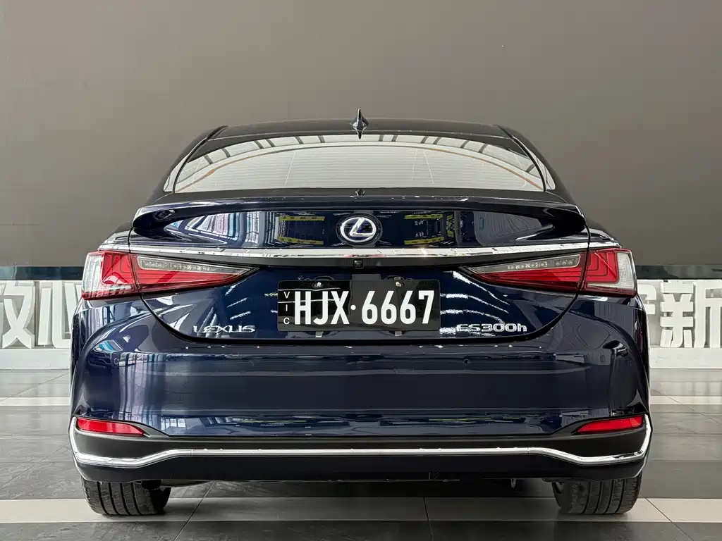 Lexus Lexus ES 300h Executive Edition 2019 - thumbnail 6