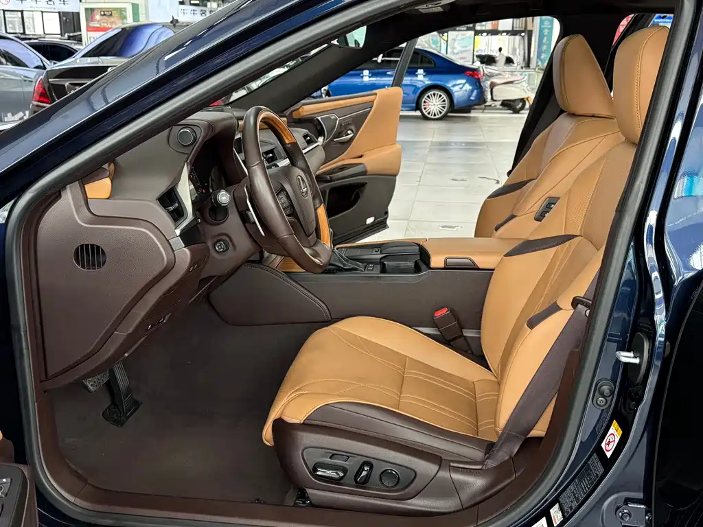 Lexus Lexus ES 300h Executive Edition 2019 - thumbnail 8