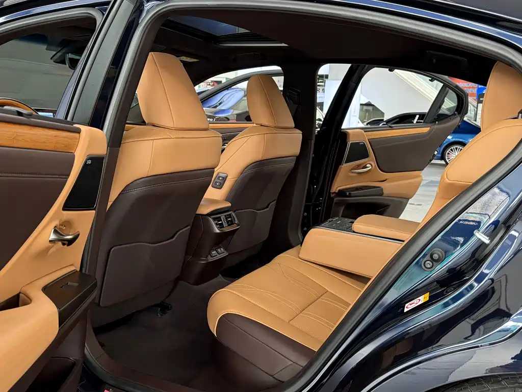 Lexus Lexus ES 300h Executive Edition 2019 - thumbnail 9