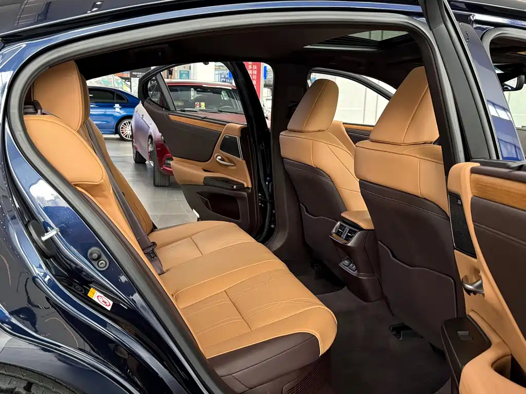 Lexus Lexus ES 300h Executive Edition 2019 - thumbnail 10